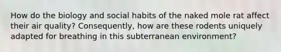 How do the biology and social habits of the naked mole rat affect their air quality? Consequently, how are these rodents uniquely adapted for breathing in this subterranean environment?