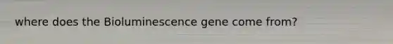 where does the Bioluminescence gene come from?