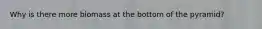 Why is there more biomass at the bottom of the pyramid?