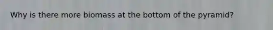 Why is there more biomass at the bottom of the pyramid?