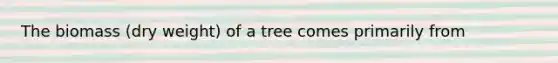 The biomass (dry weight) of a tree comes primarily from