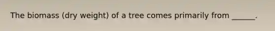 The biomass (dry weight) of a tree comes primarily from ______.