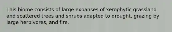 This biome consists of large expanses of xerophytic grassland and scattered trees and shrubs adapted to drought, grazing by large herbivores, and fire.