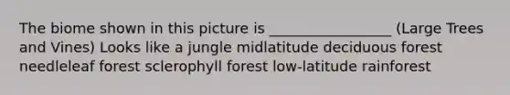 The biome shown in this picture is _________________ (Large Trees and Vines) Looks like a jungle midlatitude deciduous forest needleleaf forest sclerophyll forest low-latitude rainforest