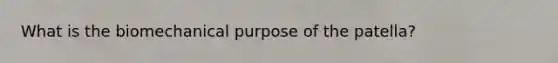 What is the biomechanical purpose of the patella?