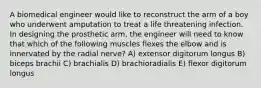 A biomedical engineer would like to reconstruct the arm of a boy who underwent amputation to treat a life threatening infection. In designing the prosthetic arm, the engineer will need to know that which of the following muscles flexes the elbow and is innervated by the radial nerve? A) extensor digitorum longus B) biceps brachii C) brachialis D) brachioradialis E) flexor digitorum longus