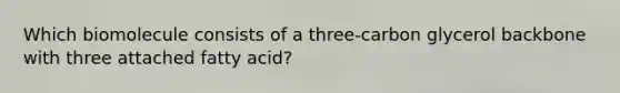 Which biomolecule consists of a three-carbon glycerol backbone with three attached fatty acid?