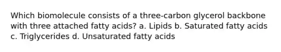 Which biomolecule consists of a three-carbon glycerol backbone with three attached fatty acids? a. Lipids b. Saturated fatty acids c. Triglycerides d. Unsaturated fatty acids