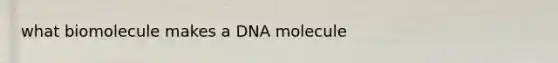 what biomolecule makes a DNA molecule