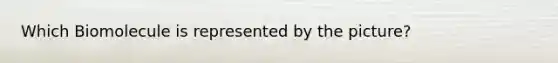 Which Biomolecule is represented by the picture?