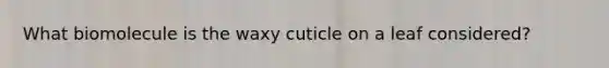 What biomolecule is the waxy cuticle on a leaf considered?