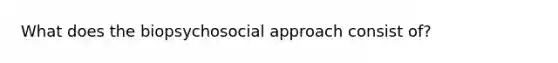 What does the biopsychosocial approach consist of?