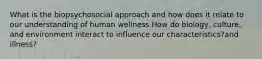 What is the biopsychosocial approach and how does it relate to our understanding of human wellness How do biology, culture, and environment interact to influence our characteristics?and illness?