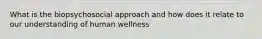 What is the biopsychosocial approach and how does it relate to our understanding of human wellness