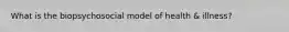 What is the biopsychosocial model of health & illness?