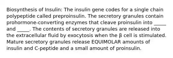 Biosynthesis of Insulin: The insulin gene codes for a single chain polypeptide called preproinsulin. The secretory granules contain prohormone-converting enzymes that cleave proinsulin into _____ and _____. The contents of secretory granules are released into the extracellular fluid by exocytosis when the β cell is stimulated. Mature secretory granules release EQUIMOLAR amounts of insulin and C-peptide and a small amount of proinsulin.