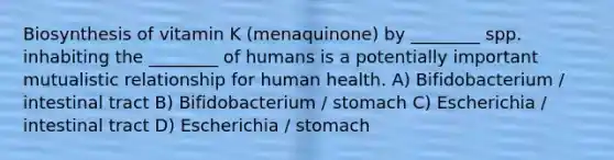 Biosynthesis of vitamin K (menaquinone) by ________ spp. inhabiting the ________ of humans is a potentially important mutualistic relationship for human health. A) Bifidobacterium / intestinal tract B) Bifidobacterium / stomach C) Escherichia / intestinal tract D) Escherichia / stomach