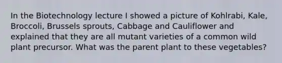 In the Biotechnology lecture I showed a picture of Kohlrabi, Kale, Broccoli, Brussels sprouts, Cabbage and Cauliflower and explained that they are all mutant varieties of a common wild plant precursor. What was the parent plant to these vegetables?