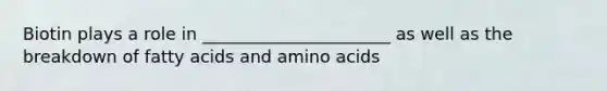 Biotin plays a role in ______________________ as well as the breakdown of fatty acids and amino acids