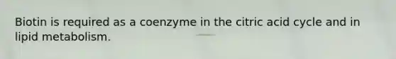Biotin is required as a coenzyme in the citric acid cycle and in lipid metabolism.