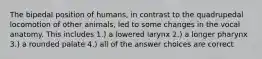 The bipedal position of humans, in contrast to the quadrupedal locomotion of other animals, led to some changes in the vocal anatomy. This includes 1.) a lowered larynx 2.) a longer pharynx 3.) a rounded palate 4.) all of the answer choices are correct