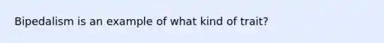 Bipedalism is an example of what kind of trait?