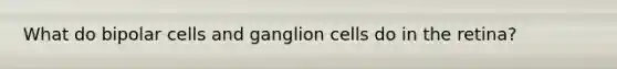 What do bipolar cells and ganglion cells do in the retina?