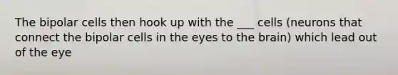 The bipolar cells then hook up with the ___ cells (neurons that connect the bipolar cells in the eyes to the brain) which lead out of the eye