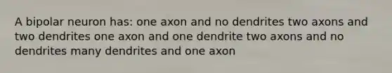 A bipolar neuron has: one axon and no dendrites two axons and two dendrites one axon and one dendrite two axons and no dendrites many dendrites and one axon