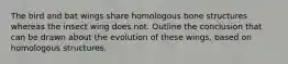 The bird and bat wings share homologous bone structures whereas the insect wing does not. Outline the conclusion that can be drawn about the evolution of these wings, based on homologous structures.