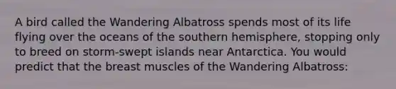 A bird called the Wandering Albatross spends most of its life flying over the oceans of the southern hemisphere, stopping only to breed on storm-swept islands near Antarctica. You would predict that the breast muscles of the Wandering Albatross: