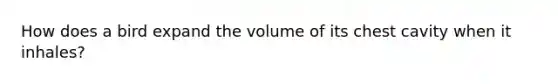 How does a bird expand the volume of its chest cavity when it inhales?