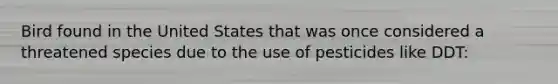 Bird found in the United States that was once considered a threatened species due to the use of pesticides like DDT:
