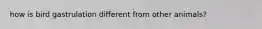 how is bird gastrulation different from other animals?