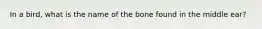 In a bird, what is the name of the bone found in the middle ear?