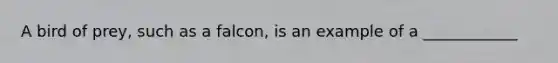 A bird of prey, such as a falcon, is an example of a ____________