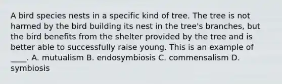 A bird species nests in a specific kind of tree. The tree is not harmed by the bird building its nest in the tree's branches, but the bird benefits from the shelter provided by the tree and is better able to successfully raise young. This is an example of ____. A. mutualism B. endosymbiosis C. commensalism D. symbiosis