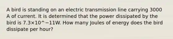 A bird is standing on an electric transmission line carrying 3000 A of current. It is determined that the power dissipated by the bird is 7.3×10^−11W. How many Joules of energy does the bird dissipate per hour?