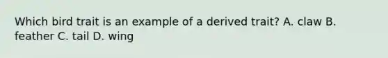 Which bird trait is an example of a derived trait? A. claw B. feather C. tail D. wing
