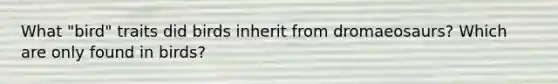 What "bird" traits did birds inherit from dromaeosaurs? Which are only found in birds?