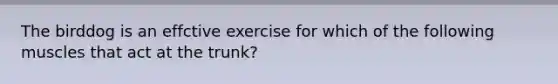 The birddog is an effctive exercise for which of the following muscles that act at the trunk?