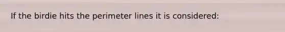 If the birdie hits the perimeter lines it is considered: