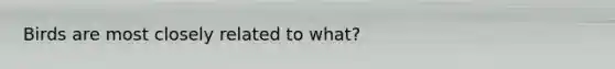 Birds are most closely related to what?