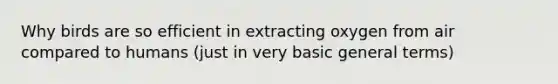 Why birds are so efficient in extracting oxygen from air compared to humans (just in very basic general terms)