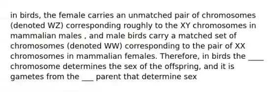 in birds, the female carries an unmatched pair of chromosomes (denoted WZ) corresponding roughly to the XY chromosomes in mammalian males , and male birds carry a matched set of chromosomes (denoted WW) corresponding to the pair of XX chromosomes in mammalian females. Therefore, in birds the ____ chromosome determines the sex of the offspring, and it is gametes from the ___ parent that determine sex