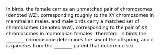 In birds, the female carries an unmatched pair of chromosomes (denoted WZ), corresponding roughly to the XY chromosomes in mammalian males, and male birds carry a matched set of chromosomes (denoted WW), corresponding to the pair of XX chromosomes in mammalian females. Therefore, in birds the ________ chromosome determines the sex of the offspring, and it is gametes from the ________ parent that determine sex