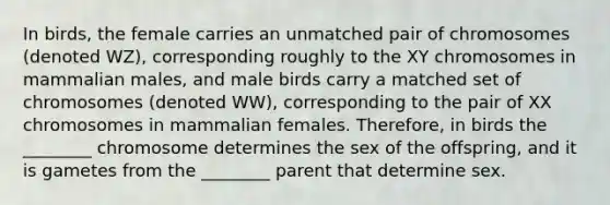 In birds, the female carries an unmatched pair of chromosomes (denoted WZ), corresponding roughly to the XY chromosomes in mammalian males, and male birds carry a matched set of chromosomes (denoted WW), corresponding to the pair of XX chromosomes in mammalian females. Therefore, in birds the ________ chromosome determines the sex of the offspring, and it is gametes from the ________ parent that determine sex.