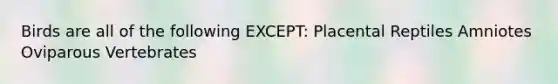Birds are all of the following EXCEPT: Placental Reptiles Amniotes Oviparous Vertebrates