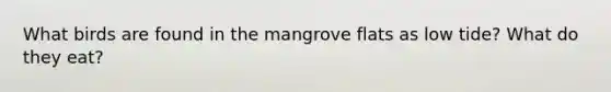 What birds are found in the mangrove flats as low tide? What do they eat?