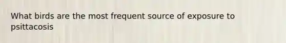 What birds are the most frequent source of exposure to psittacosis